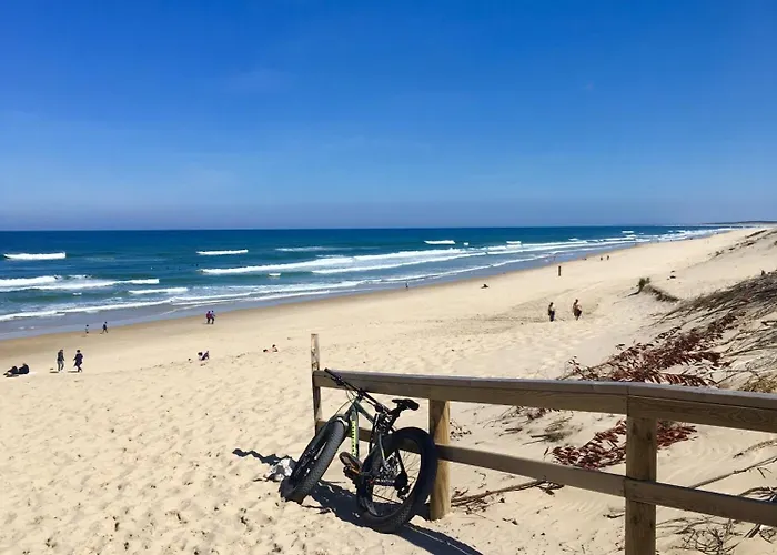 Oceane Ferienhaus Biscarrosse-Plage